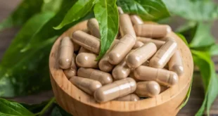 Comment interpréter l’étiquette d’un complément d’extrait de plantes