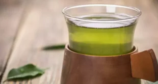 Effets des catéchines du thé vert sur la santé