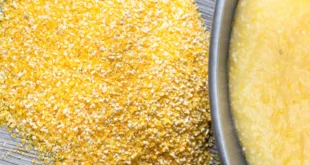 Propriétés de la polenta pour les sportifs