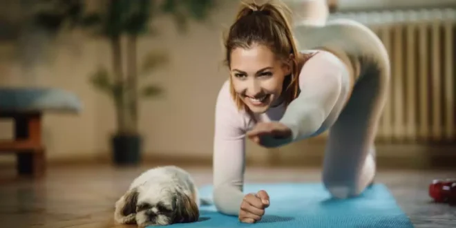 Comment faire le Bird Dog