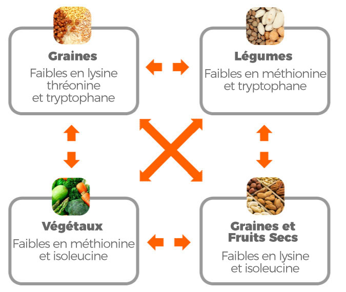 Fuentes veganas