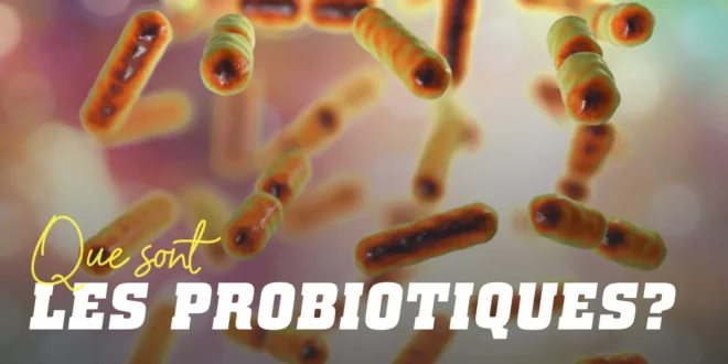 Probiotiques : ce que c’est et quels sont leurs bienfaits pour la santé Probiotiques : ce que c’est et quels sont leurs bienfaits pour la santé