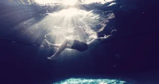 Contre-indications du champignon Shiitake