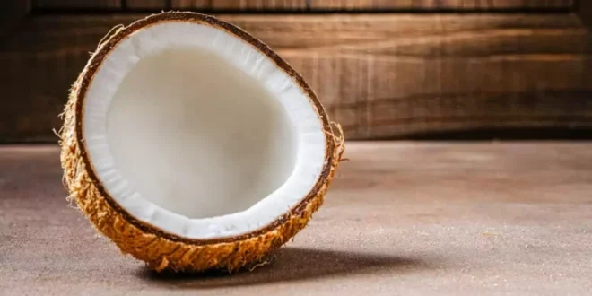 Noix de coco : propriétés, bienfaits et valeur nutritionnelle d’un superaliment naturel Noix de coco : propriétés, bienfaits et valeur nutritionnelle d’un superaliment naturel
