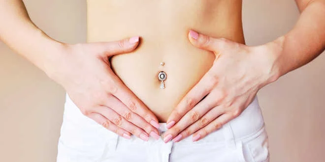 Lactobacillus helveticus, le probiotique le plus efficace