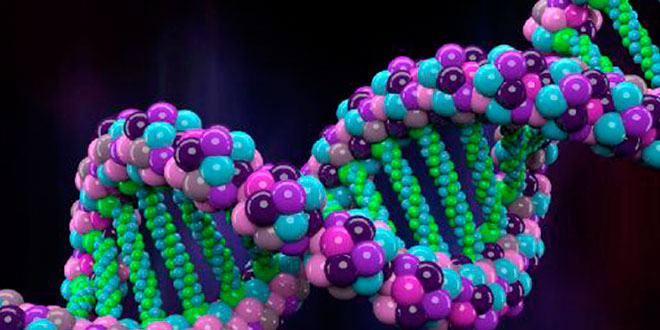 Voies anaboliques : biosynthèse protéique