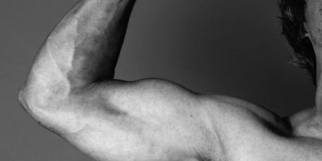 Les meilleures phrases d’Arnold Schwarzenegger Les meilleures phrases d’Arnold Schwarzenegger