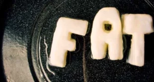 Graisses saturées et graisses trans : ce qu’il faut savoir