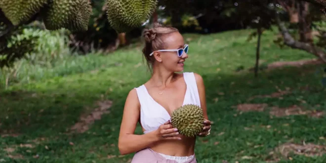 Graviola : le trésor tropical pour ton bien-être