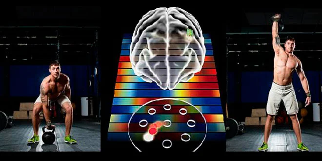 Comment un mouvement est-il stocké dans notre mémoire ? Comment un mouvement est-il stocké dans notre mémoire ?