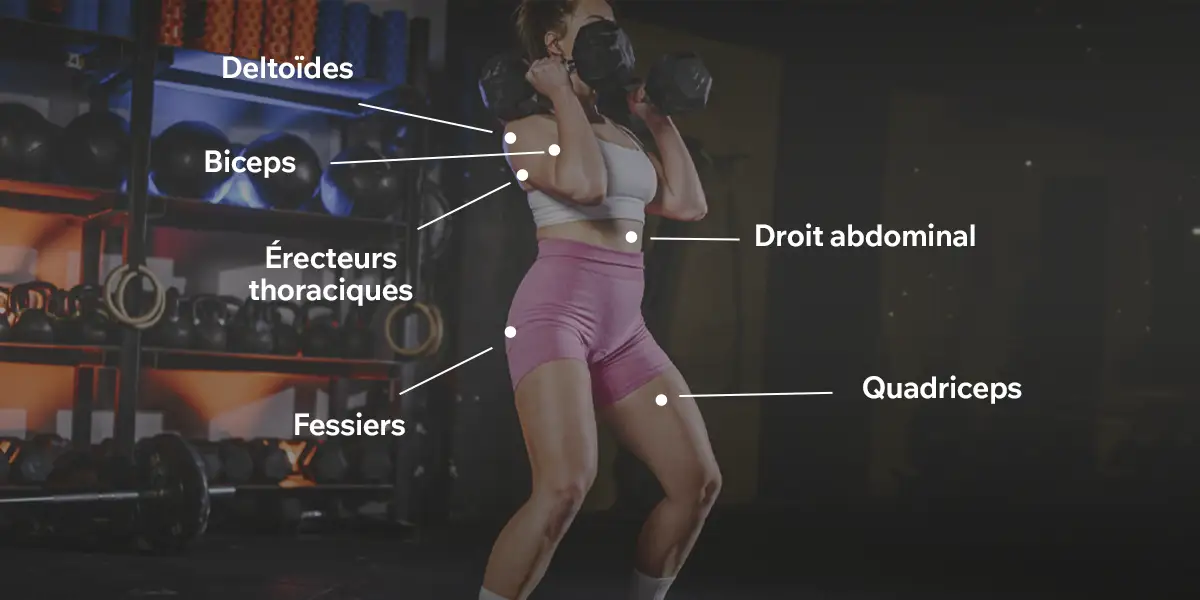 Muscles sollicités dans le Front Rack Carry