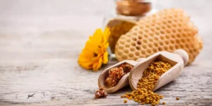 Propolis ou Propolis : l'antibiotique naturel des abeilles