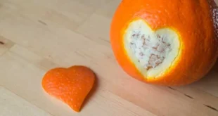 L’effet du régime alimentaire sur la tension artérielle