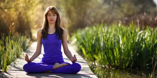 Ashwagandha pour réduire le stress et améliorer le bien-être