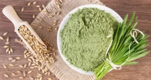 Herbe d'Orge : bienfaits et propriétés de ce superaliment