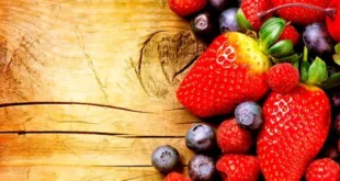 Guide nutritionnel et conseils pour les débutants à la salle de sport