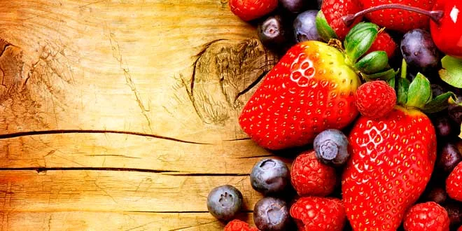 Guide nutritionnel et conseils pour les débutants à la salle de sport Guide nutritionnel et conseils pour les débutants à la salle de sport