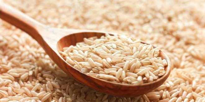 Bienfaits du riz complet Bienfaits du riz complet