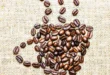 Dose quotidienne recommandée de caféine pour ta performance sportive