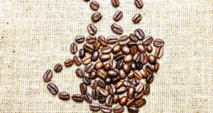 Dose quotidienne recommandée de caféine pour ta performance sportive