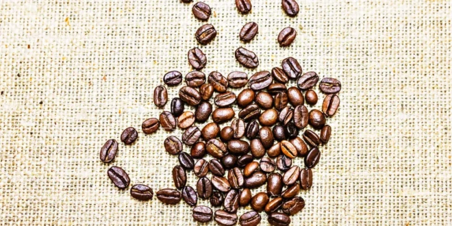 Dose quotidienne recommandée de caféine pour ta performance sportive Dose quotidienne recommandée de caféine pour ta performance sportive