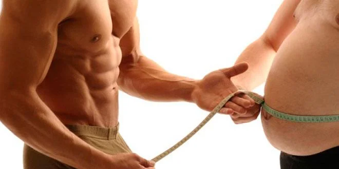 Muscle vs Graisse Muscle vs Graisse