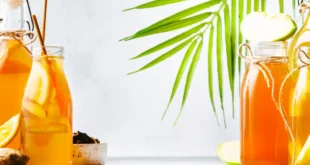 Thé kombucha : un probiotique d’exception