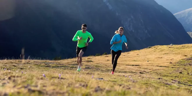 Nutrition pour les sports d’endurance : le guide complet pour optimiser vos performances Nutrition pour les sports d’endurance : le guide complet pour optimiser vos performances