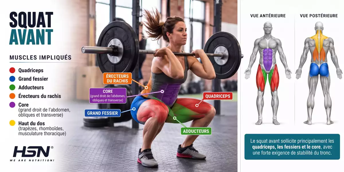 Quels muscles le squat avant sollicite-t-il ?