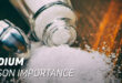 L’importance du sodium