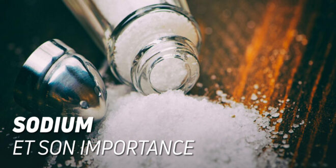 L’importance du sodium L’importance du sodium