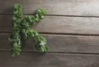 Les aliments avec le plus de vitamine K