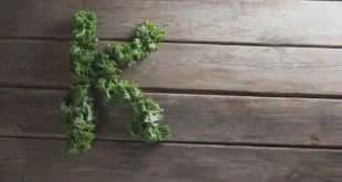 Les aliments avec le plus de vitamine K