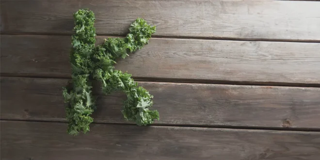 Les aliments avec le plus de vitamine K