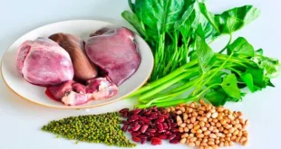 Les 15 aliments riches en fer
