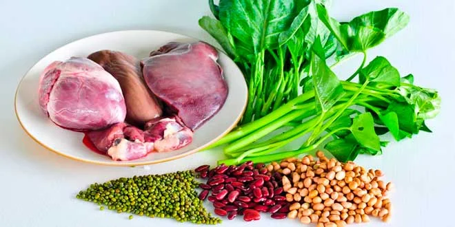 Les 15 aliments riches en fer