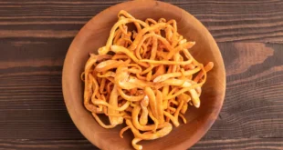 Champignon Cordyceps : Propriétés, Bienfaits et Performance Sportive