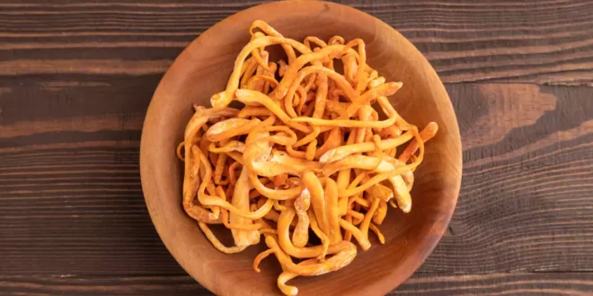 Champignon Cordyceps : Propriétés, Bienfaits et Performance Sportive