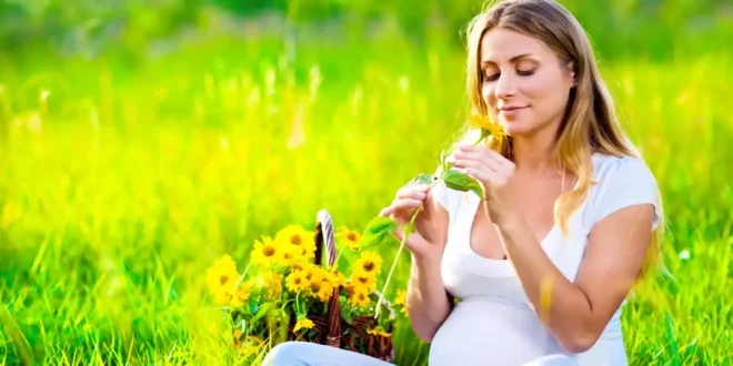 Huile d’Onagre : Bien-être pendant la période de fertilité