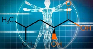 HICA : Métabolite de la Leucine pour la Croissance Musculaire