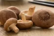 Champignon Shiitaké : Propriétés, Bienfaits et Contre-indications