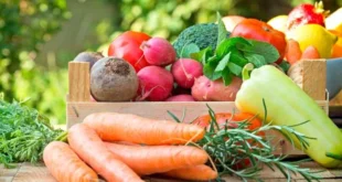Astuces pour augmenter la consommation de légumes