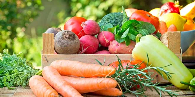 Astuces pour augmenter la consommation de légumes