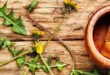 8 remèdes avec pissenlit, à tester !