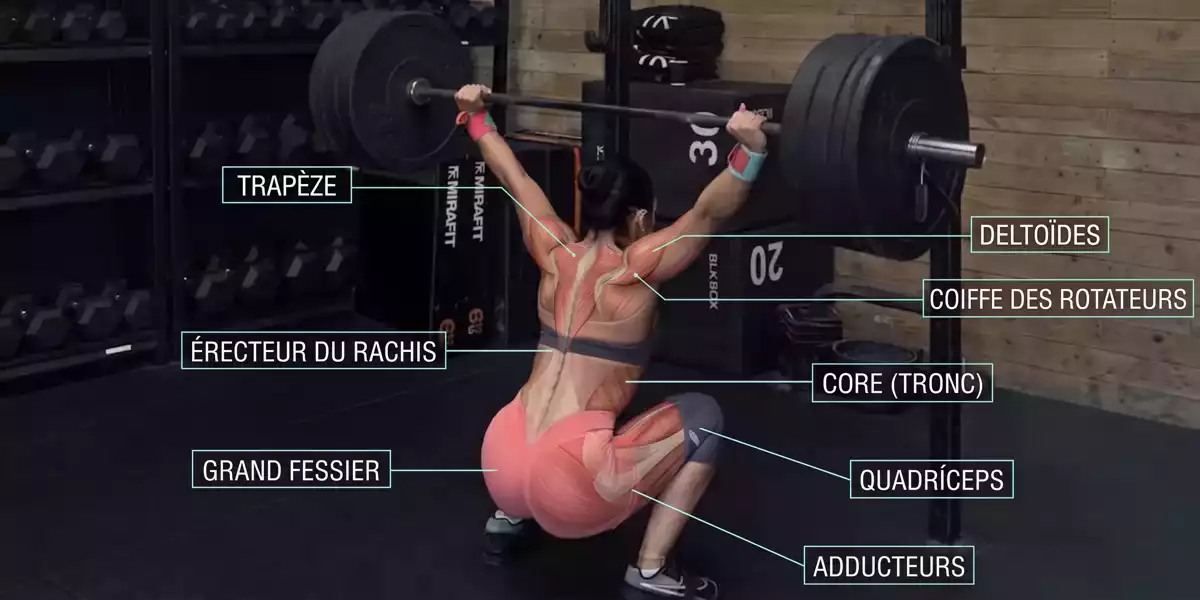 Quels muscles le squat d’arraché sollicite-t-il ?
