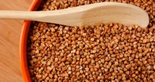 Sarrasin : qu’est-ce que c’est, bienfaits pour la santé, adapté aux cœliaques