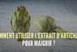 5 façons simples de consommer de l’artichaut pour soutenir la perte de poids