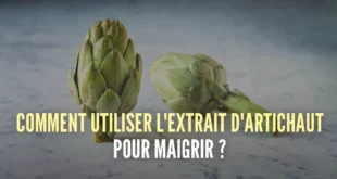 5 façons simples de consommer de l’artichaut pour soutenir la perte de poids