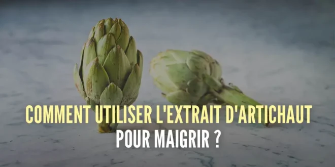 5 façons simples de consommer de l’artichaut pour soutenir la perte de poids 5 façons simples de consommer de l’artichaut pour soutenir la perte de poids