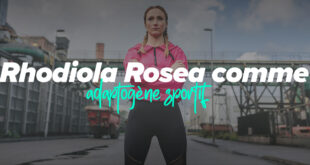 Rhodiola Rosea et son usage comme adaptogène sportif